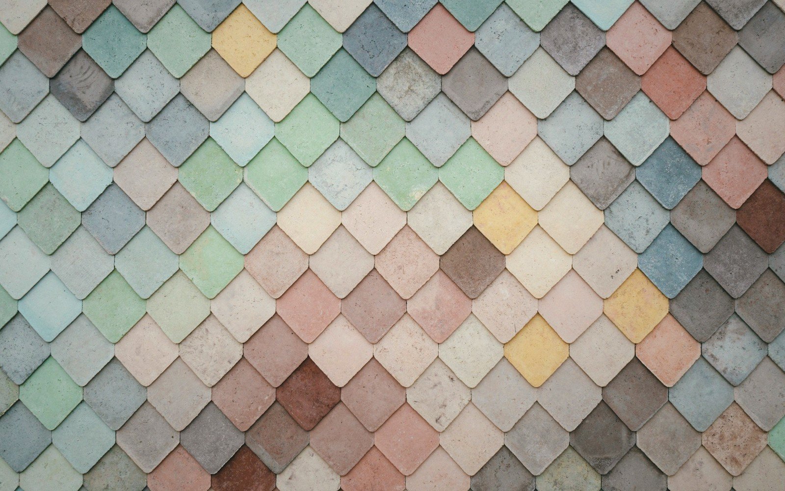 How a Tile Field Is Set Out
